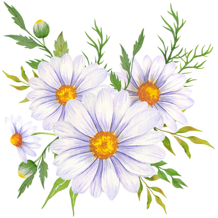 (325-02) White Daisy Daisies