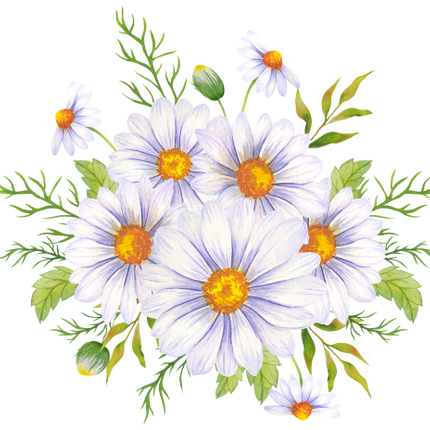 (325-02) White Daisy Daisies