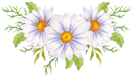 (325-02) White Daisy Daisies