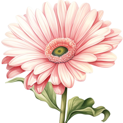 (325-02) Pink Daisy Flower
