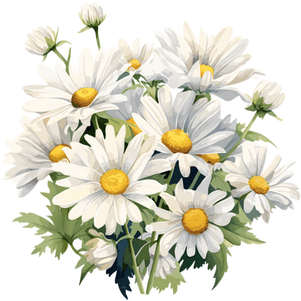 (325-02) White Daisy Daisies Bouquet