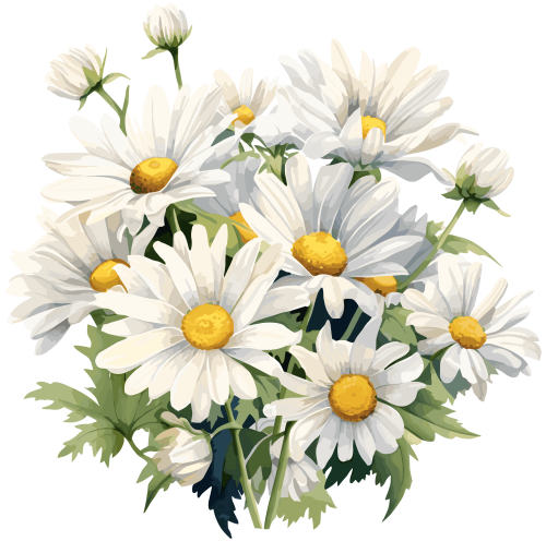 (325-02) White Daisy Daisies Bouquet