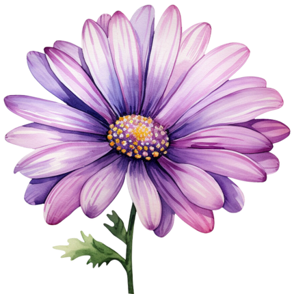 (325-02) Purple Daisy Flower