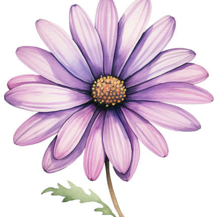 (325-02) Purple Daisy Flower