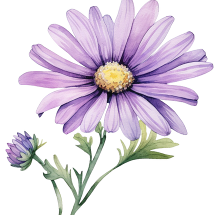 (325-02) Purple Daisy Flower
