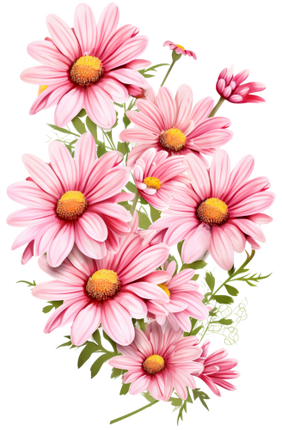 (325-02) Pink Daisy Flowers