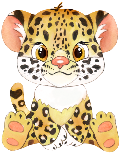 (s330-1-B) Leopard