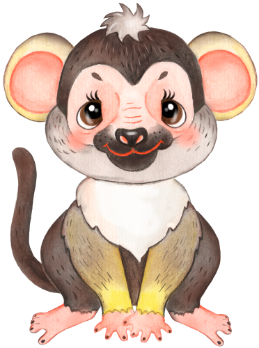 (s330-1-L) Baby Monkey