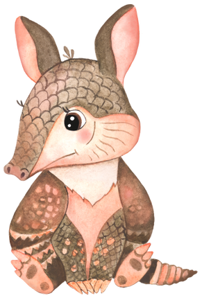 (s330-1-M) Armadillo