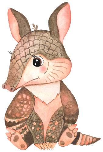 (s330-1-M) Armadillo