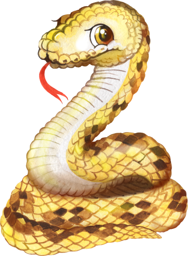 (s330-1-P) Snake