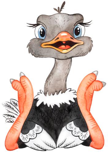 (s330-1-R) Ostrich