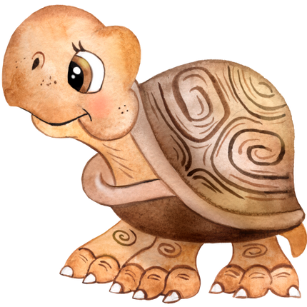 (s330-1-1S) Turtle Tortoise