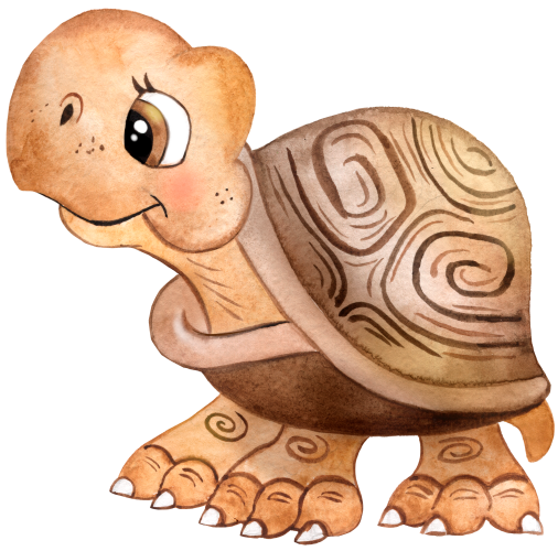 (s330-1-1S) Turtle Tortoise