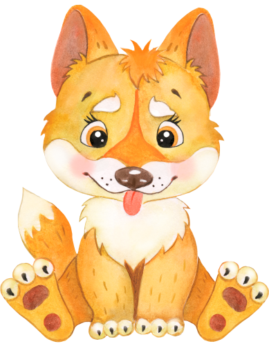 (s330-5-A) Dingo
