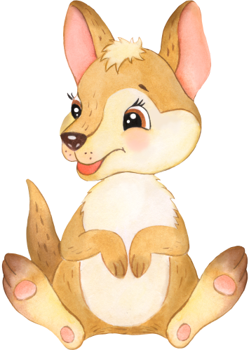 (s330-5-C) Kangaroo