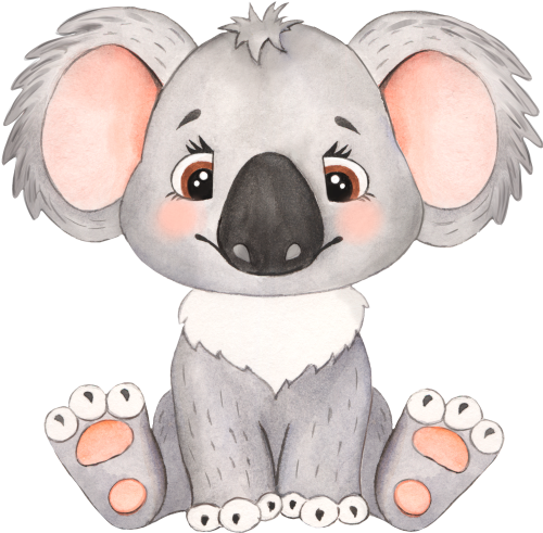 (s330-5-D) Koala