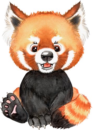 (s330-5-F) Red Panda