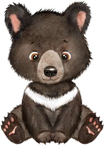 (s330-5-1H) Bear