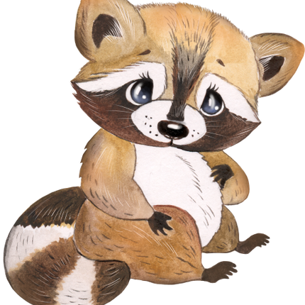 (s330-6-B) Racoon