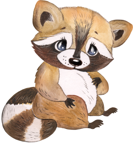 (s330-6-B) Racoon