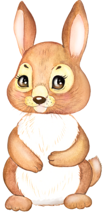 (s330-6-C) Bunny Rabbit