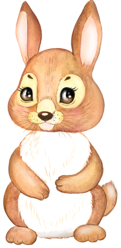 (s330-6-C) Bunny Rabbit