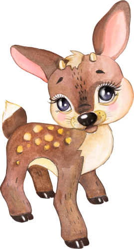 (s330-6-E) Deer