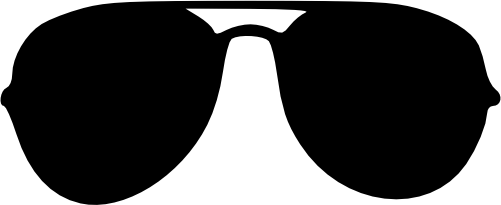 (332-01-J) Sunglasses