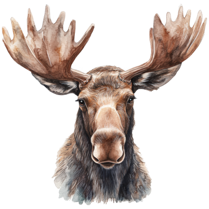 (s333-2-1G) Moose