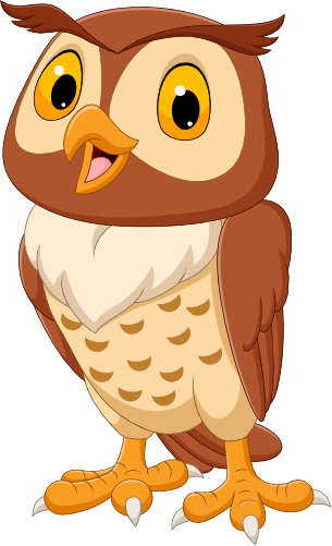 (s337-01-1B) Owl