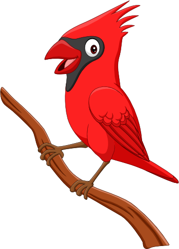 (s337-1-1D) Cardinal