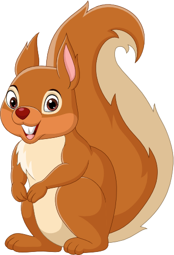 (s337-01-1E) Squirrel