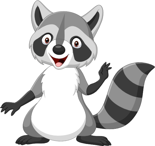 (s337-1-F) Racoon