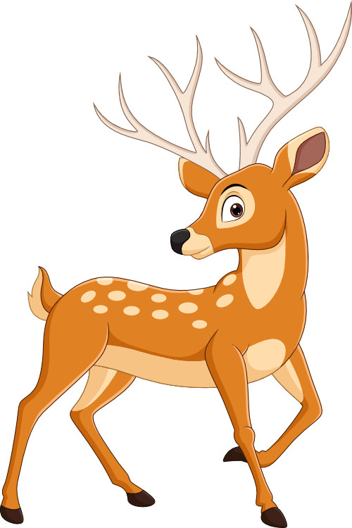 (s337-01-1G) Deer