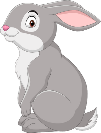 (s337-1-1K) Bunny Rabbit