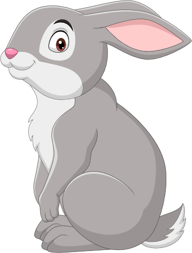 (s337-1-1K) Bunny Rabbit