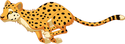 (s337-02-2B) Cheetah