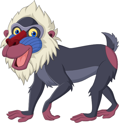 (s337-2-2L) Mandrill