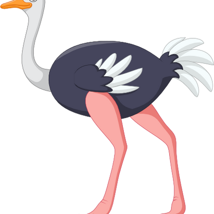 (s337-02-2M) Ostrich