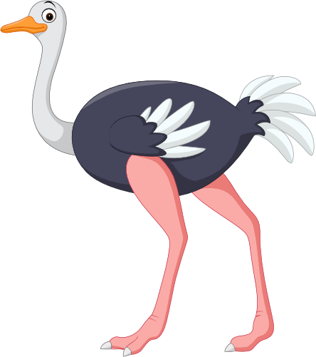 (s337-02-2M) Ostrich