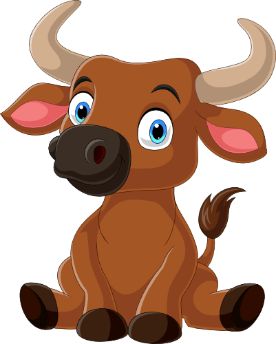 (s337-2-2N) Cow Bull