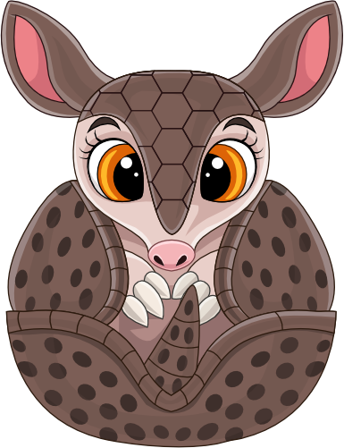 (s337-2-3O) Armadillo