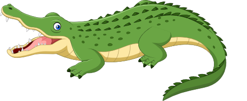 (s337-2-1T) Aligator Crocodile