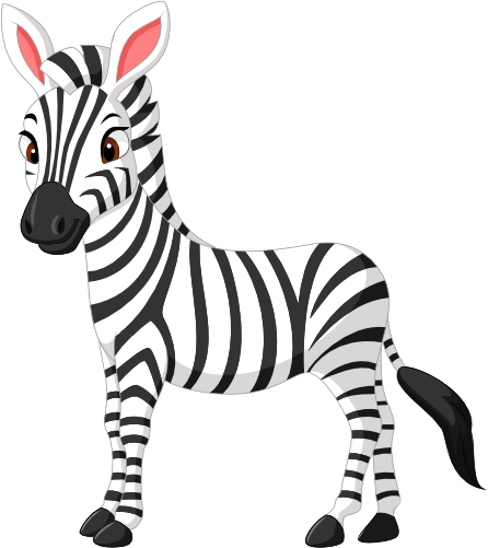 (s337-2-1V) Zebra