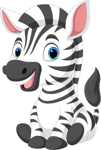(s337-2-2Y) Sitting Zebra