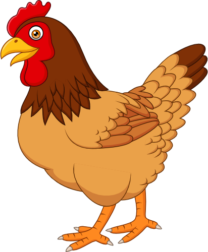 (s337-3-2B) Chicken