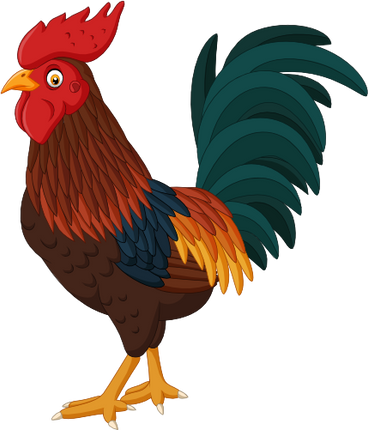 (s337-3-2C) Chicken