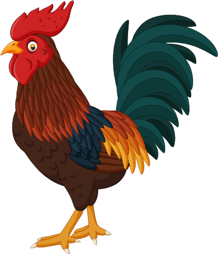 (s337-3-2C) Chicken