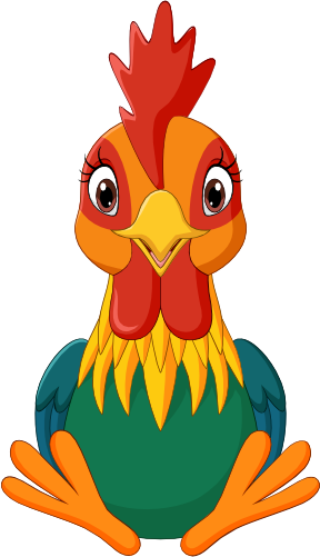 (s337-3-1G) Chicken